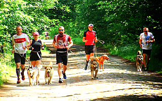 Biegają by wesprzeć olsztyńskie schronisko dla bezdomnych psów. W Olsztynie wystartowały charytatywne zawody Run Hau